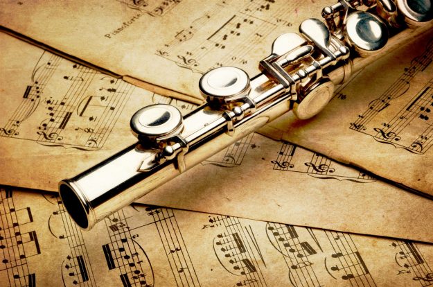 Dwarsfluit Flute Offers